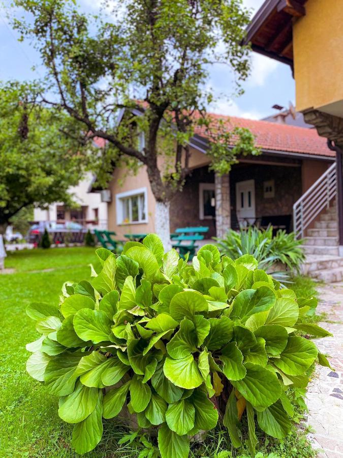 Adella Apartment ซาราเยโว ภายนอก รูปภาพ